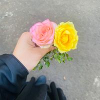 mim_akter_achol