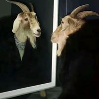 regi.the.goat4