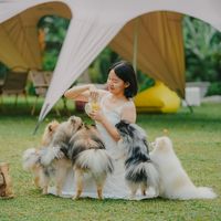 bpomfamily