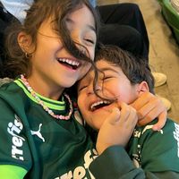 palmeiras23142