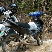 suara asli - ariyantu masing singgal 💯