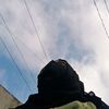 user7446620330392