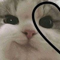 kimloaizatupatrona83