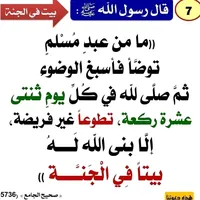 original sound - abo.r.1