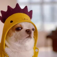 original sound - recordingding