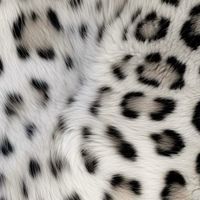 Nights Like This Frozen