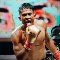 ronalsiahaan62