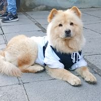 yoisi070