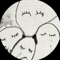 doruche120458