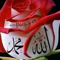 26gulmeyenkaderime26