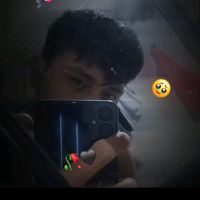 .alexander375