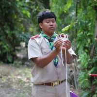 bawsawut