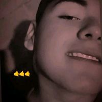 luiis509