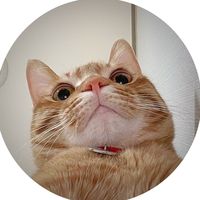 lilsun_today