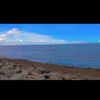 _js0.8