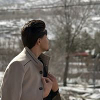 sh_lion1