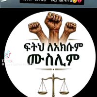 qamariyaa3033
