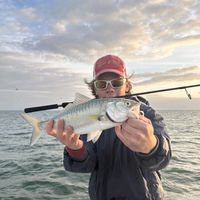 gibo.fishing