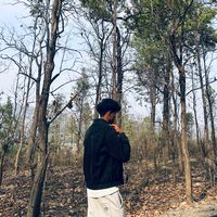 nirajchy__11