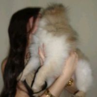 vxallxtt