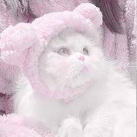 noyu._.03