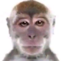 el_chango_wey55