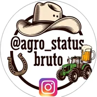 original sound - agro_status_bruto2