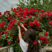 sohail9837
