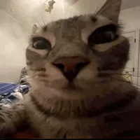 original sound - hemmkw_28