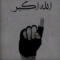 hamzar001
