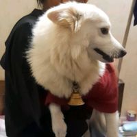 sujata_ch