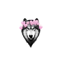 original sound - krs050201