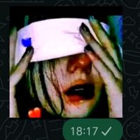 user6261662619766