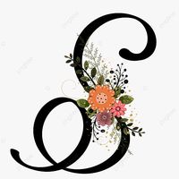 suara asli - 🌺SAY🌸