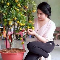 nhạc nền - củ hành tây