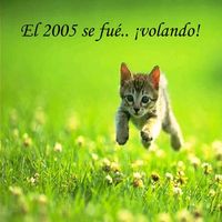 dogeconderecho2020