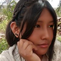 condori_2005
