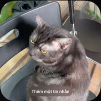 nhạc nền - manh 💤