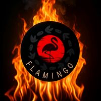flamingo_clothingbrand