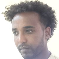 mesoud322