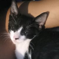 tiago_0ae