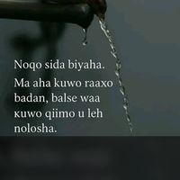 hibaq_mohamed