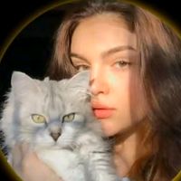itx_me_244
