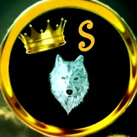 original sound - s.a.s.a299