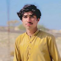 mhussain8576