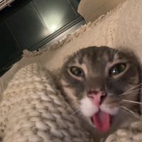 vlrkrlv