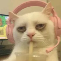 original sound - fineart48