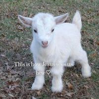 hopewithjesus7
