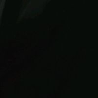 1danitaa_