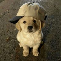 original sound - I’m not ur